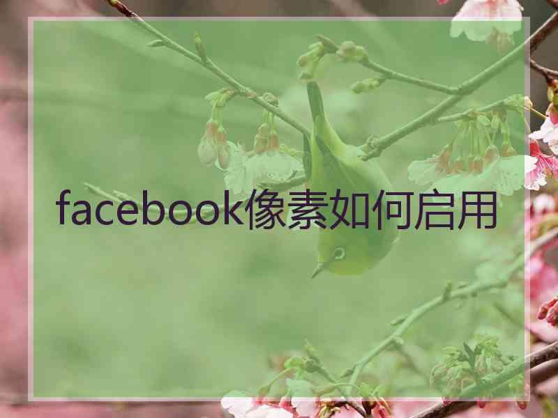 facebook像素如何启用