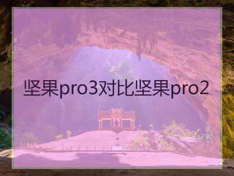 坚果pro3对比坚果pro2