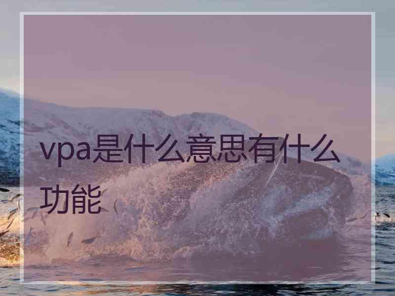 vpa是什么意思有什么功能