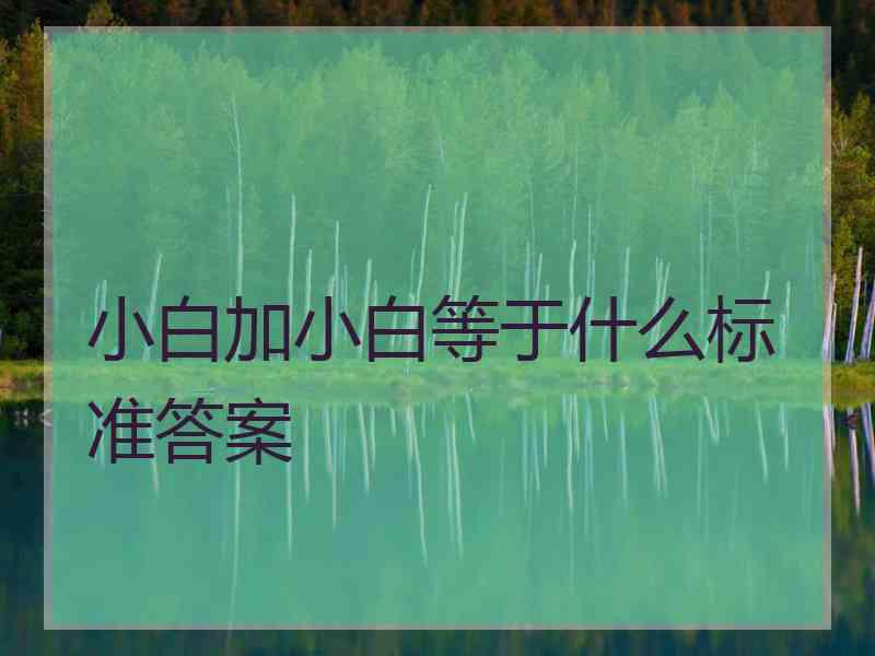 小白加小白等于什么标准答案