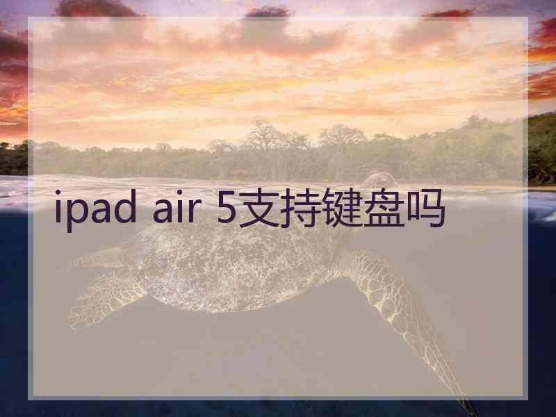 ipad air 5支持键盘吗