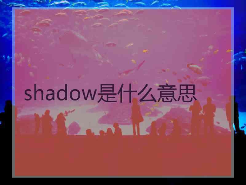 shadow是什么意思