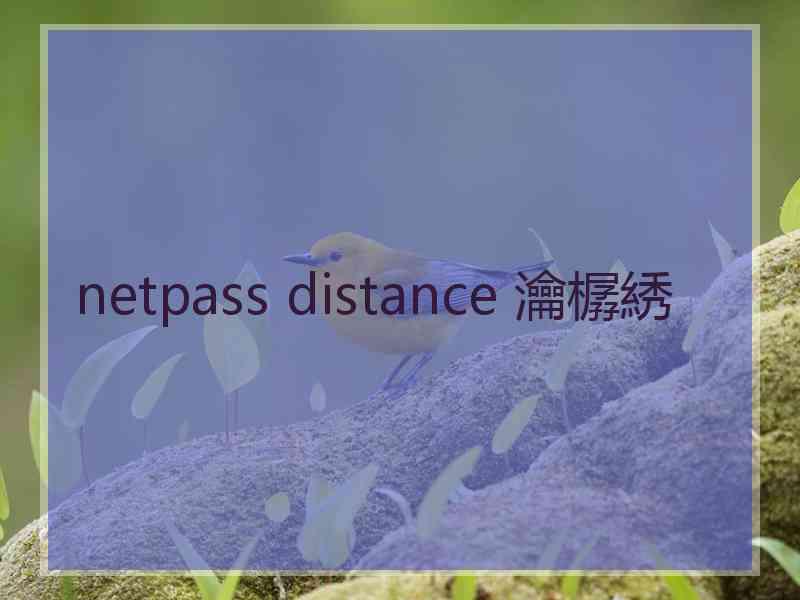 netpass distance 瀹樼綉