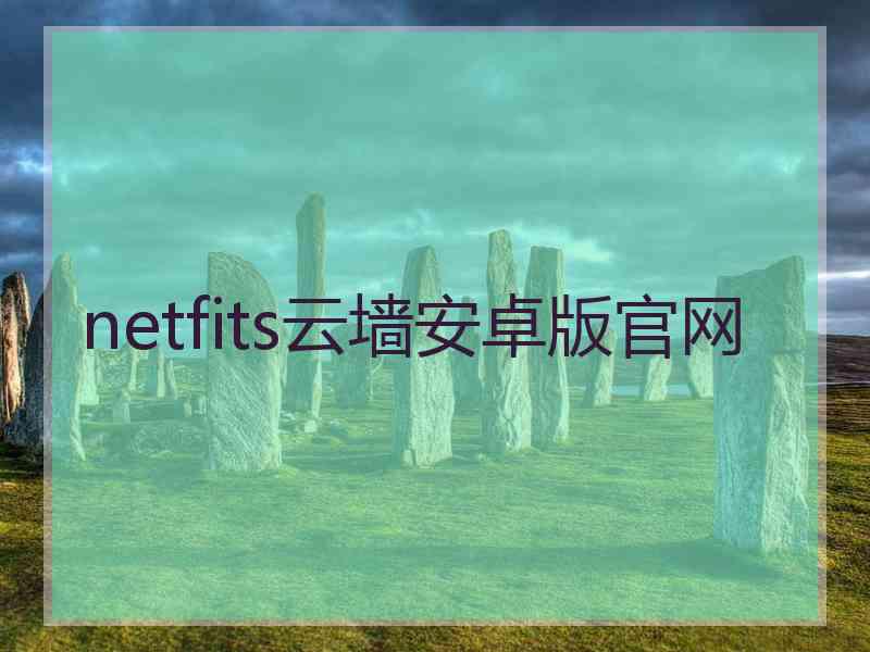 netfits云墙安卓版官网