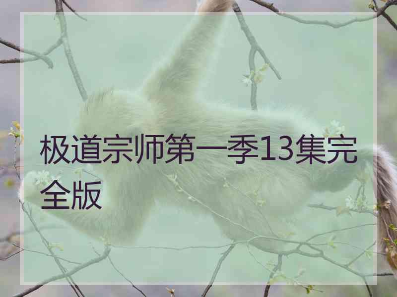 极道宗师第一季13集完全版