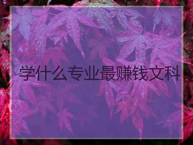 学什么专业最赚钱文科