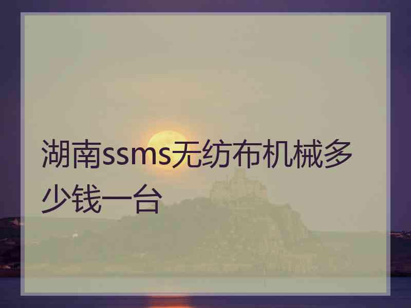 湖南ssms无纺布机械多少钱一台