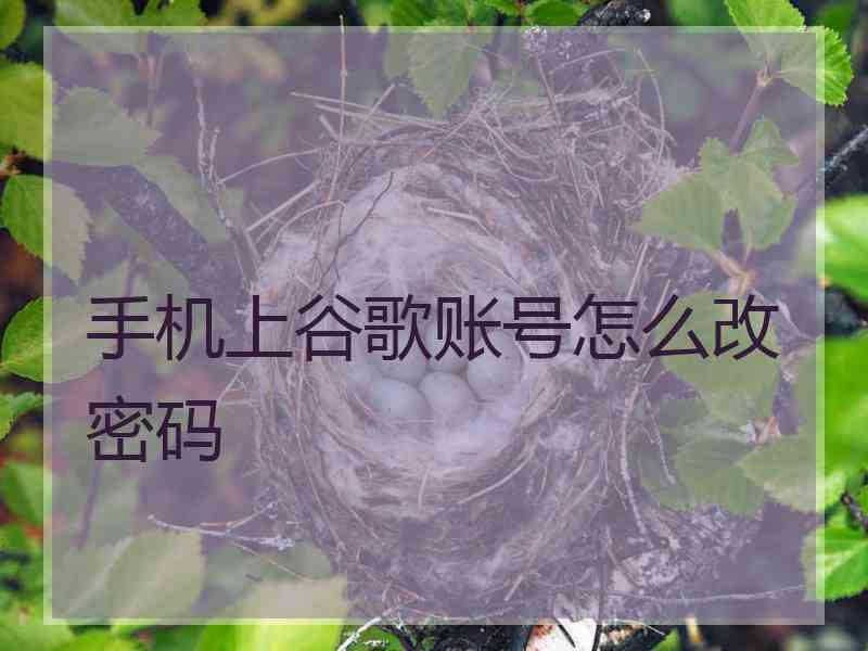 手机上谷歌账号怎么改密码