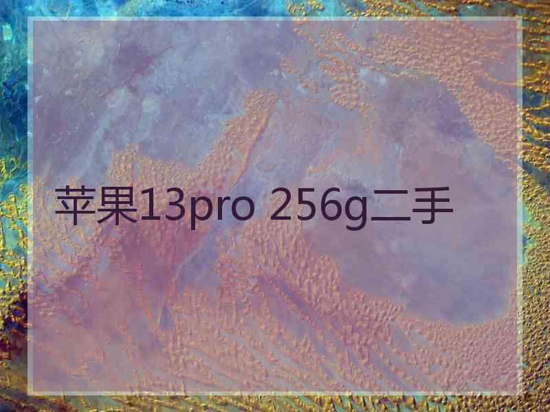 苹果13pro 256g二手