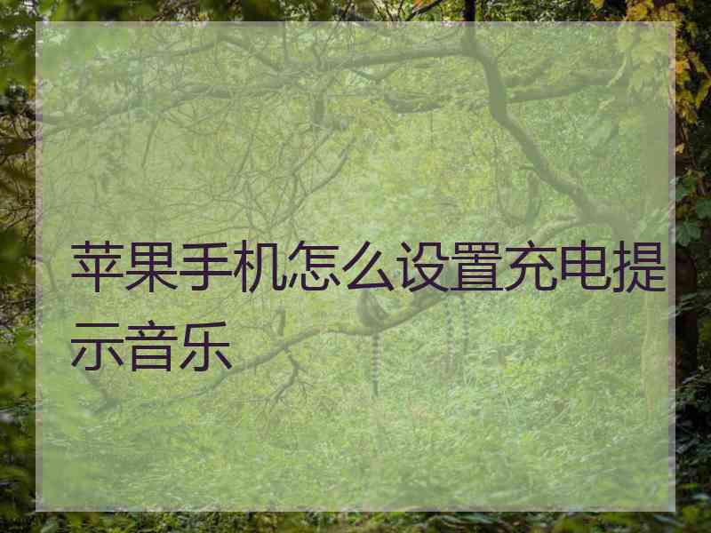 苹果手机怎么设置充电提示音乐