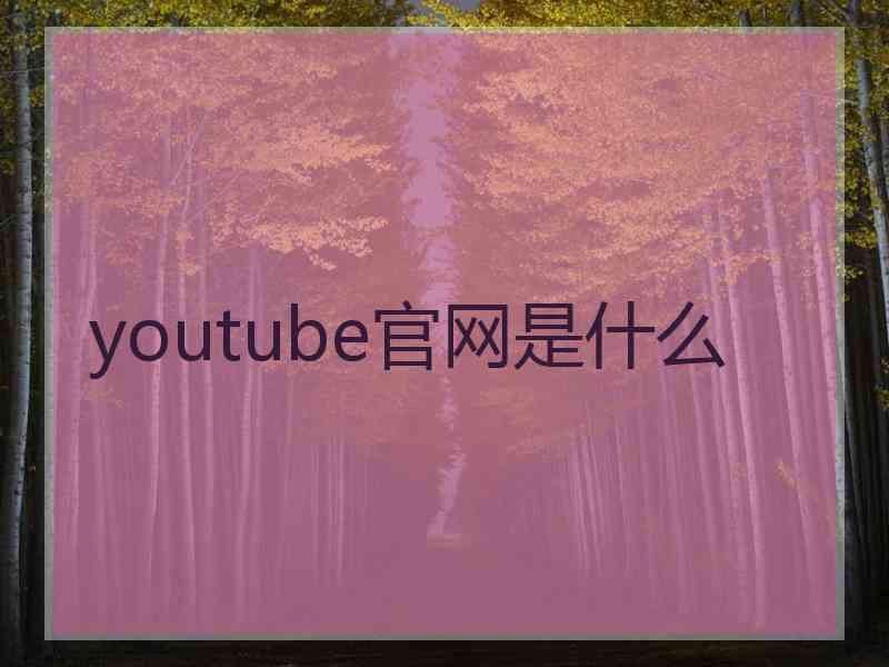 youtube官网是什么