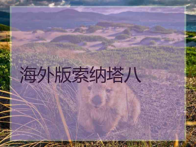 海外版索纳塔八