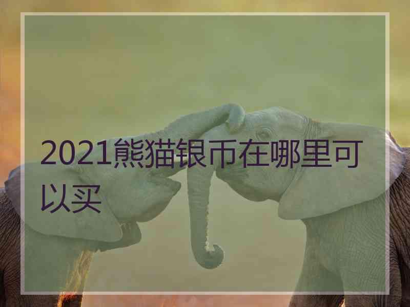 2021熊猫银币在哪里可以买