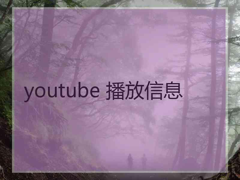 youtube 播放信息