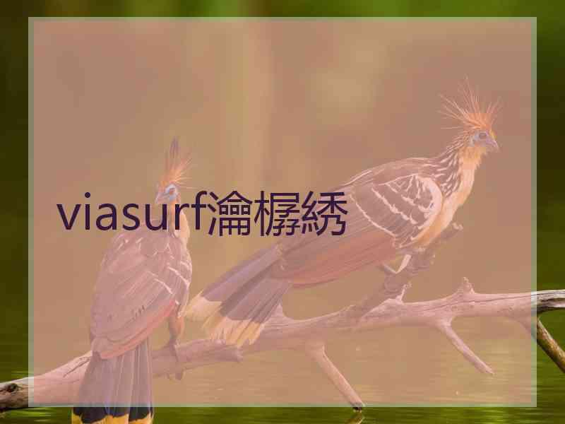 viasurf瀹樼綉