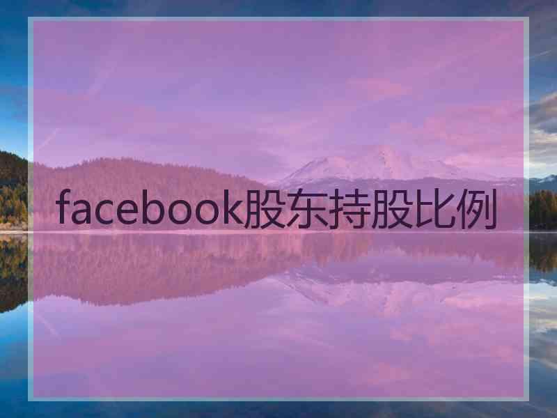 facebook股东持股比例