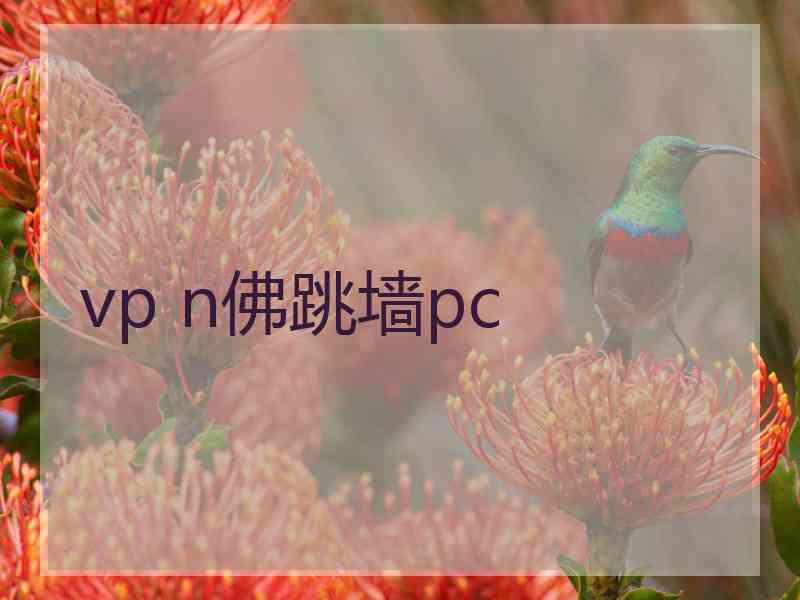 vp n佛跳墙pc