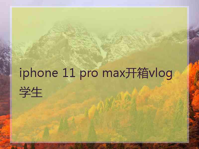 iphone 11 pro max开箱vlog学生