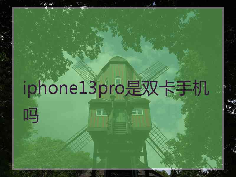 iphone13pro是双卡手机吗