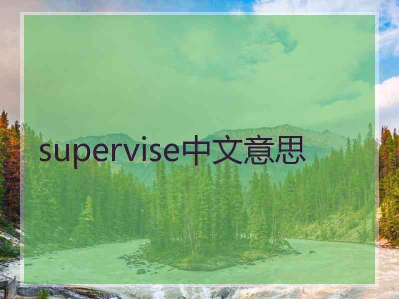 supervise中文意思