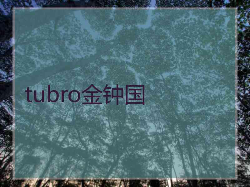 tubro金钟国