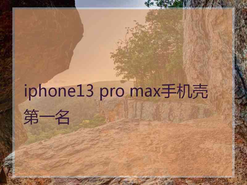 iphone13 pro max手机壳第一名