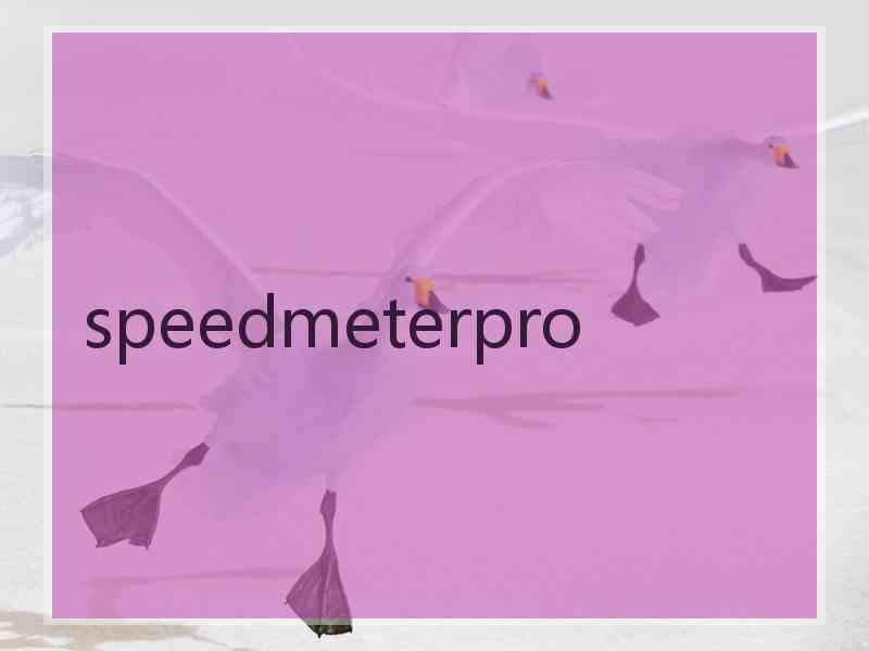 speedmeterpro