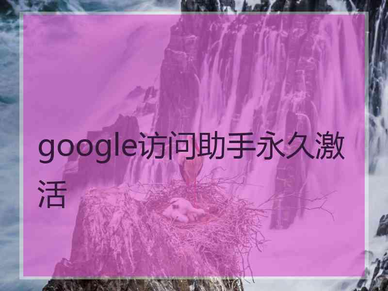 google访问助手永久激活