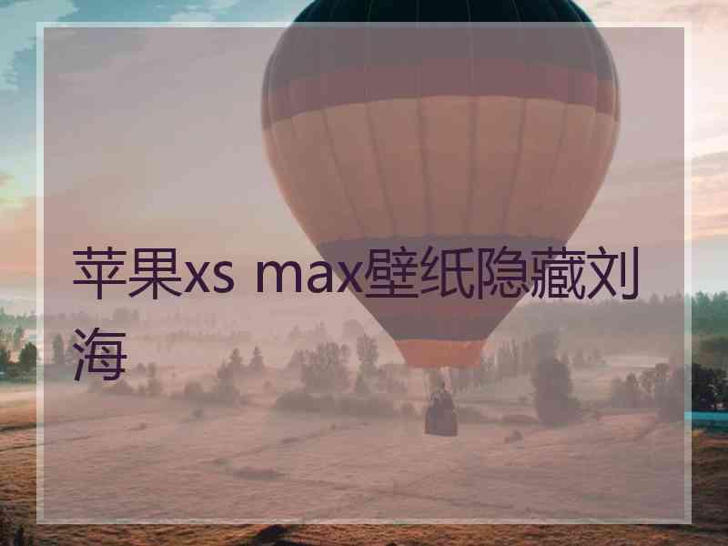 苹果xs max壁纸隐藏刘海