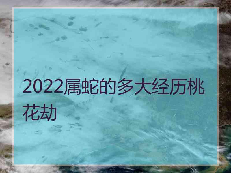 2022属蛇的多大经历桃花劫