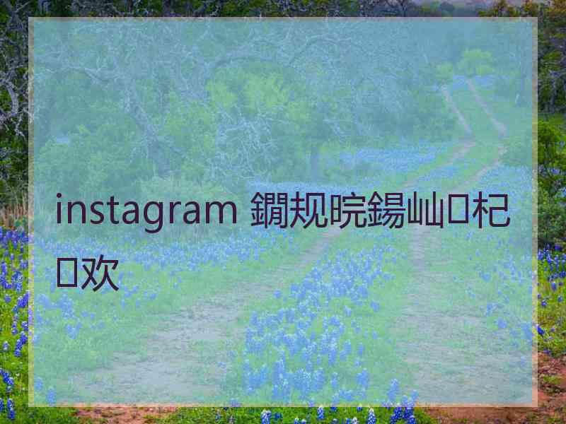 instagram 鐗规晥鍚屾杞欢