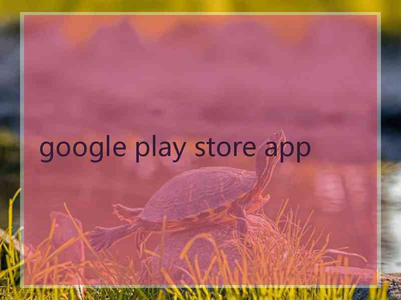 google play store app