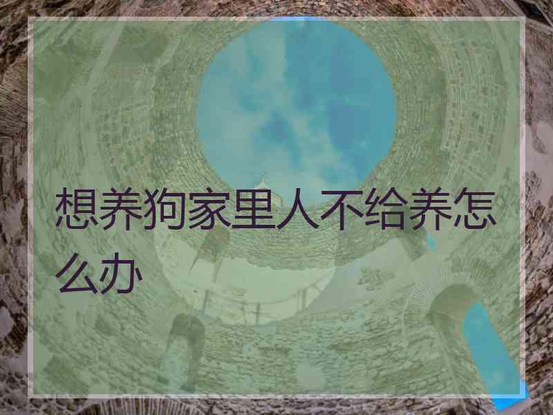 想养狗家里人不给养怎么办