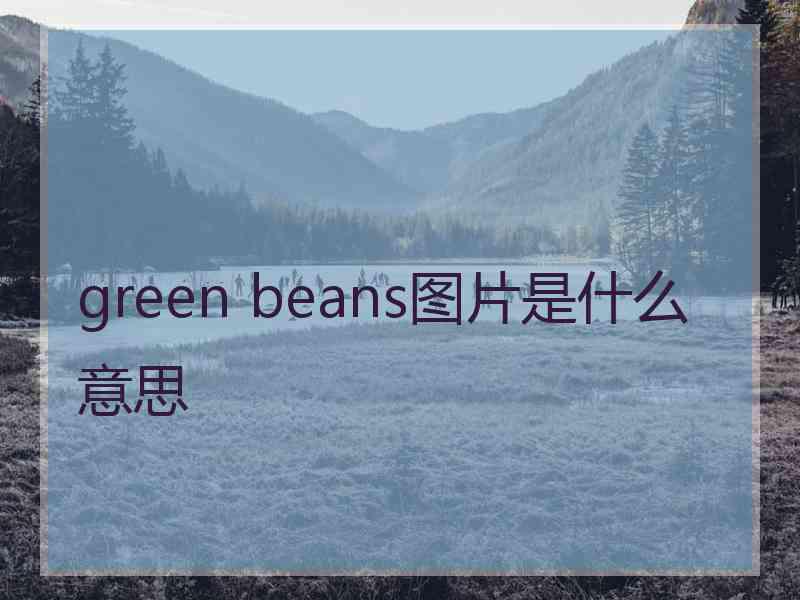 green beans图片是什么意思