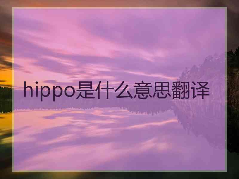 hippo是什么意思翻译