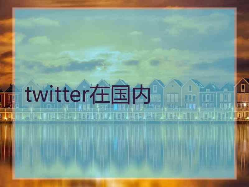 twitter在国内