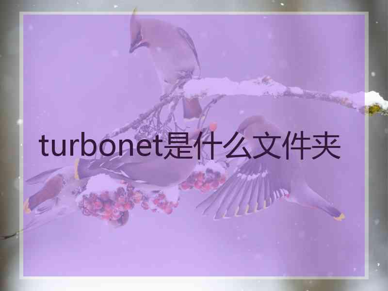 turbonet是什么文件夹