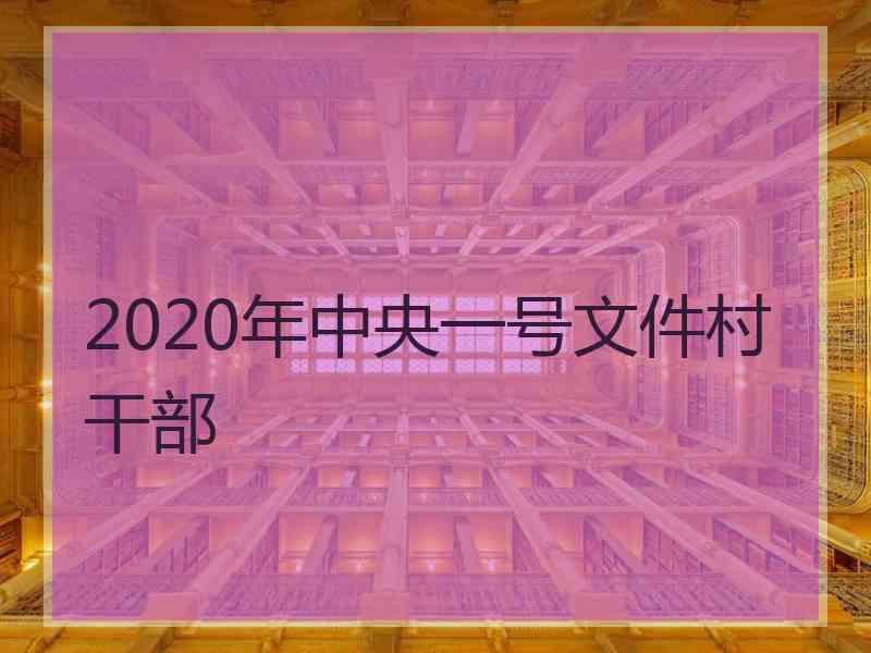 2020年中央一号文件村干部