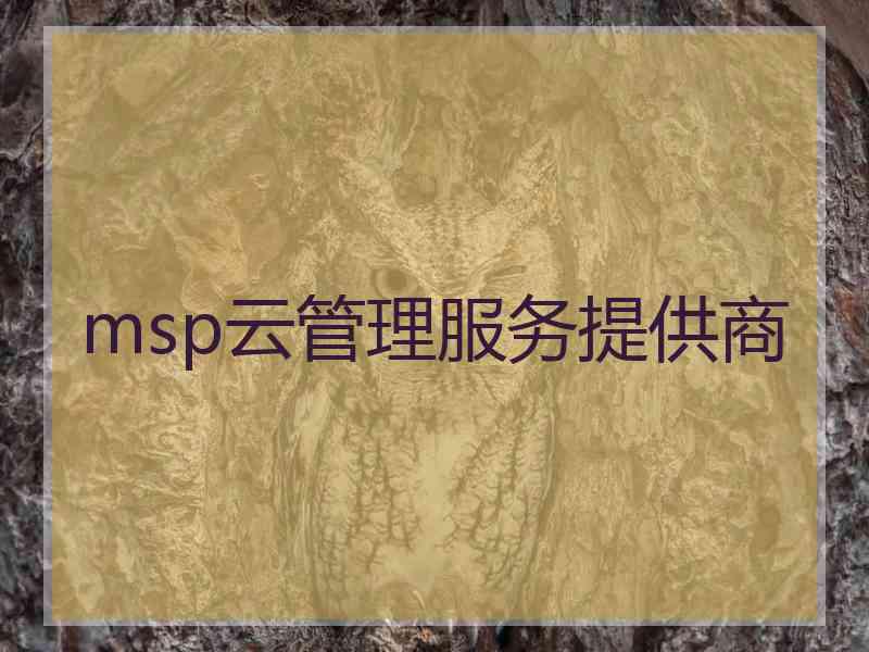 msp云管理服务提供商