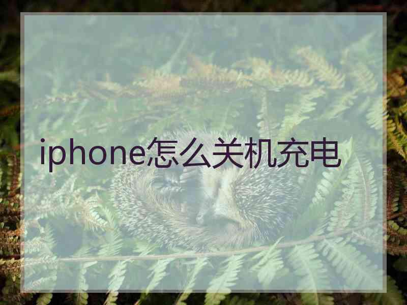 iphone怎么关机充电