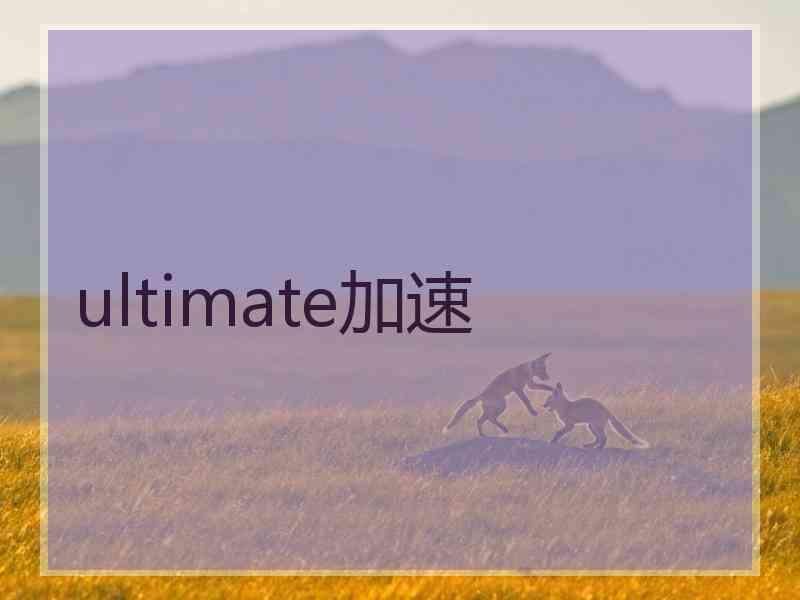 ultimate加速