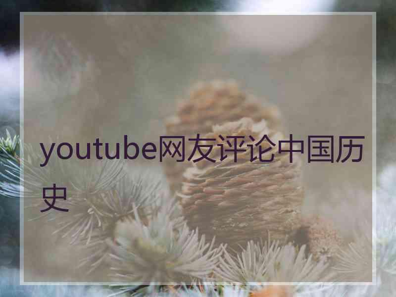 youtube网友评论中国历史