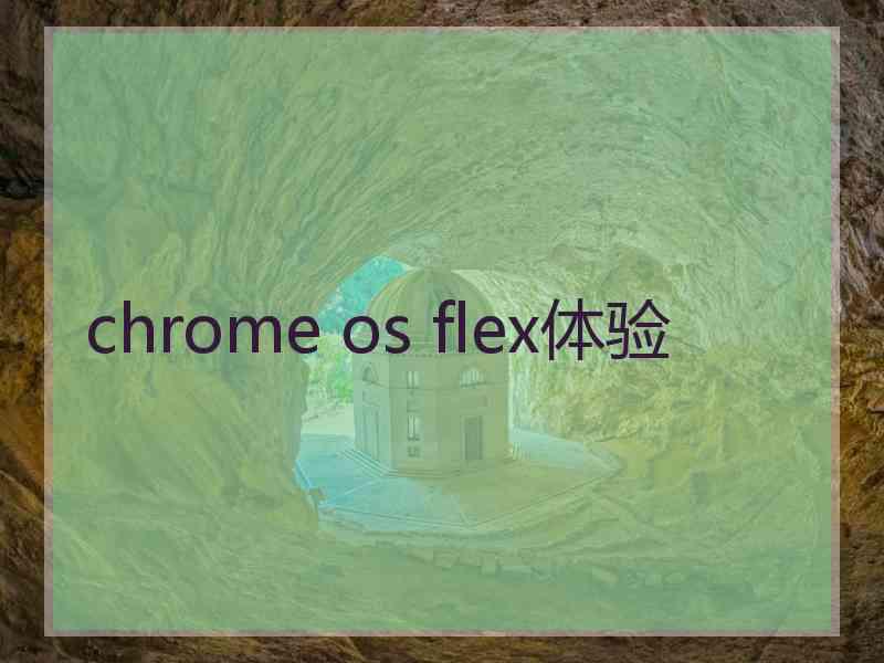 chrome os flex体验