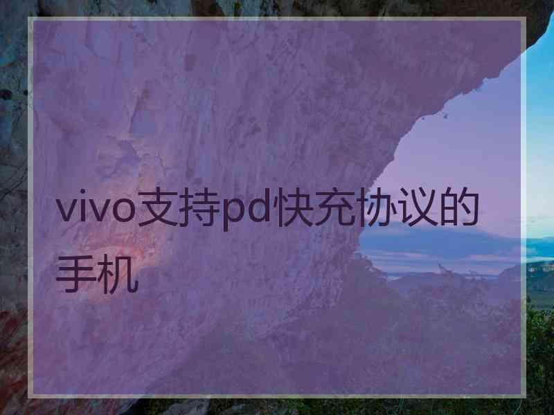 vivo支持pd快充协议的手机