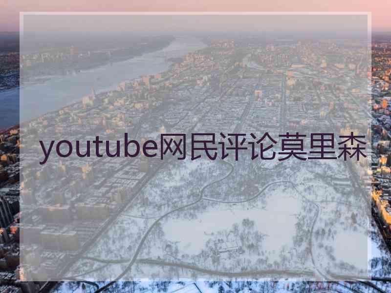 youtube网民评论莫里森