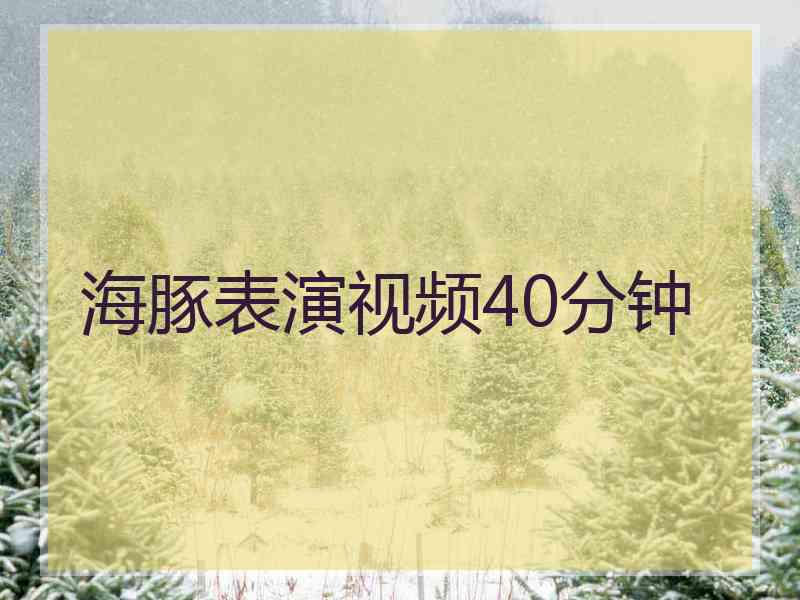 海豚表演视频40分钟