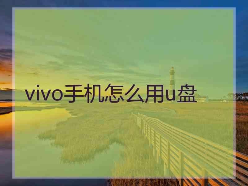 vivo手机怎么用u盘