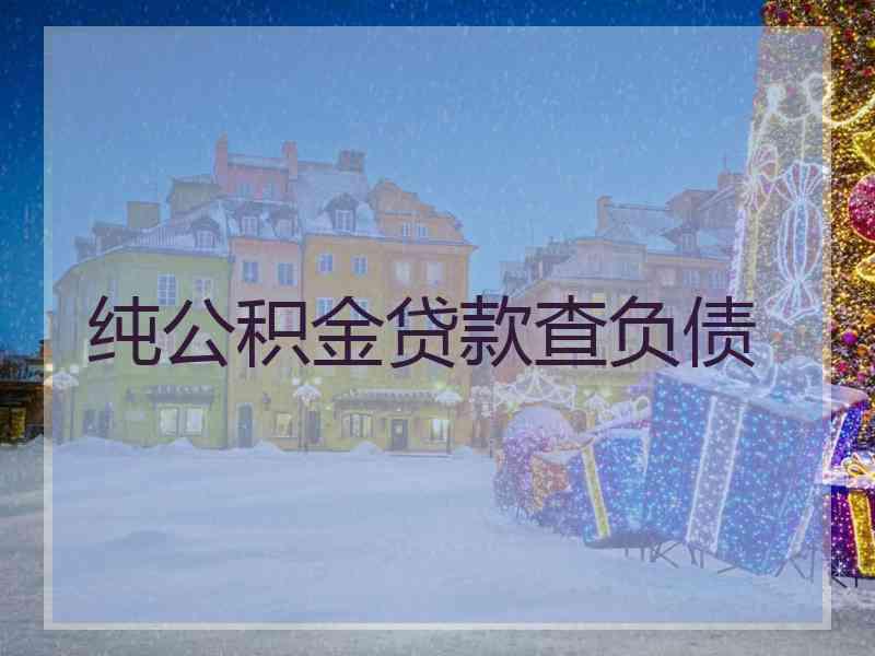 纯公积金贷款查负债