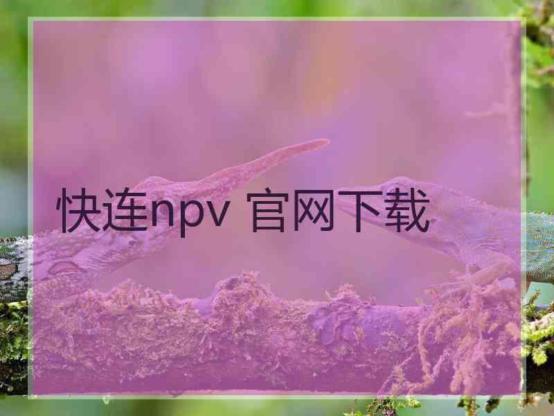 快连npv 官网下载