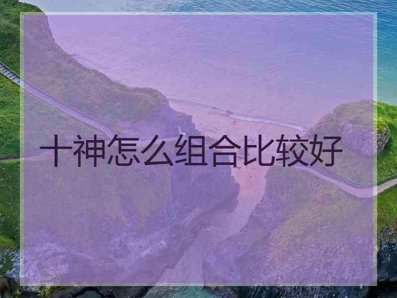 十神怎么组合比较好